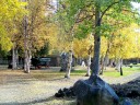 autumn moose rack massage cabin